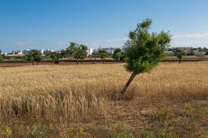 Ca Na Maria Teueta Apartamento San Ferrán de ses Roques Exterior foto