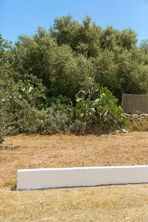 Ca Na Maria Teueta Apartamento San Ferrán de ses Roques Exterior foto