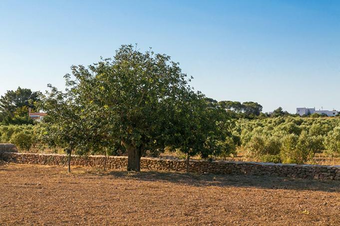 Ca Na Maria Teueta Apartamento San Ferrán de ses Roques Exterior foto